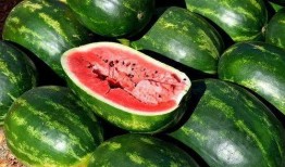 吃瓜网红 图片大全大图,图片大全大图揭秘网络红人幕后生活